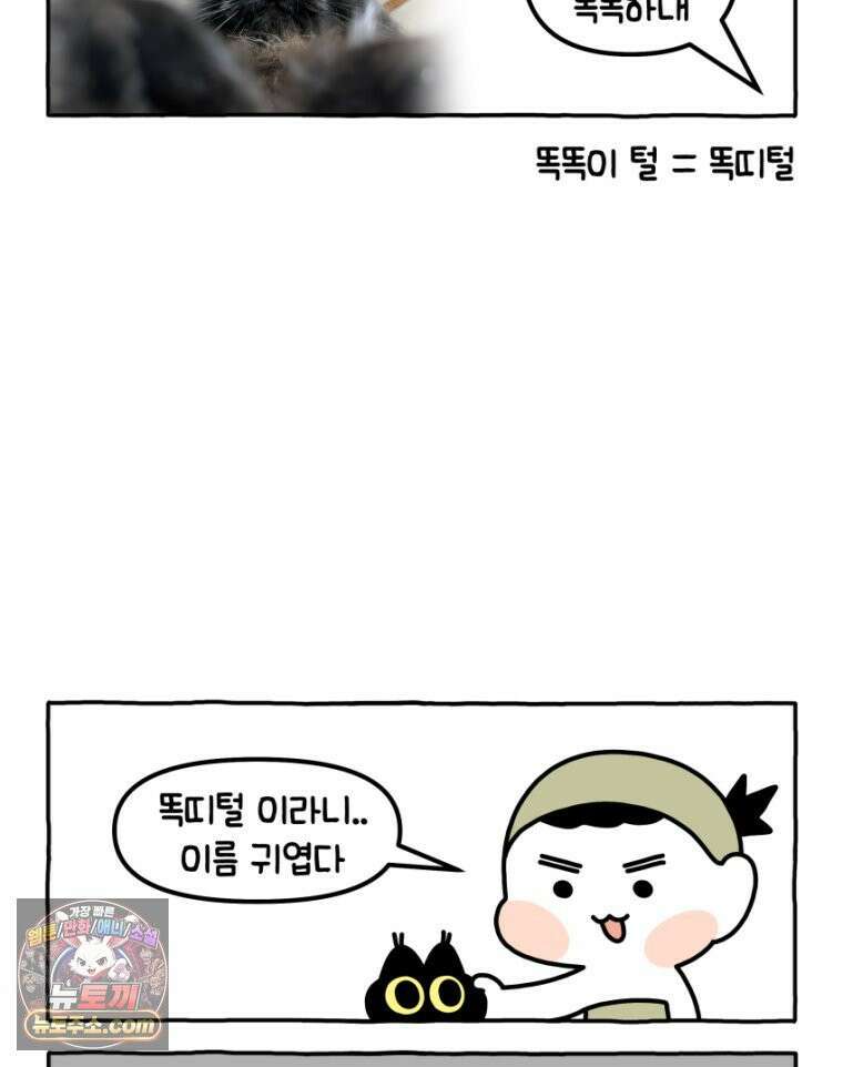 먼지 덩어리 짱덕 32． 매력 포인트 24