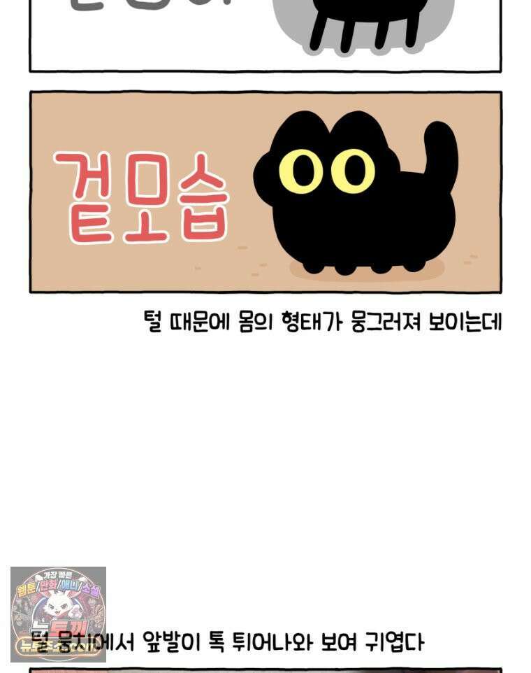 먼지 덩어리 짱덕 32． 매력 포인트 27
