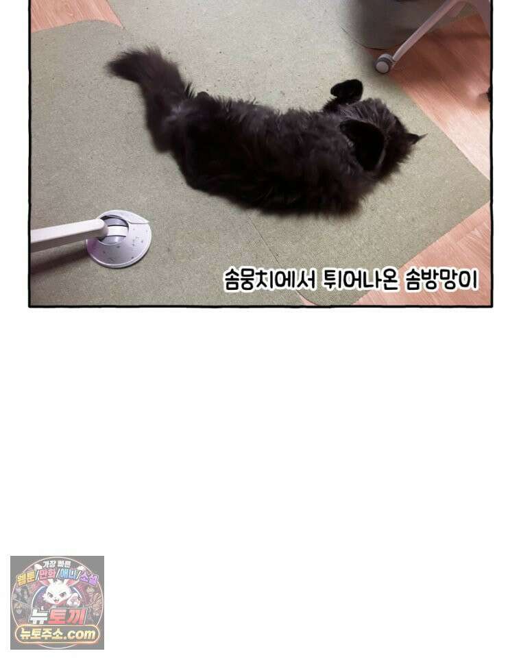 먼지 덩어리 짱덕 32． 매력 포인트 28
