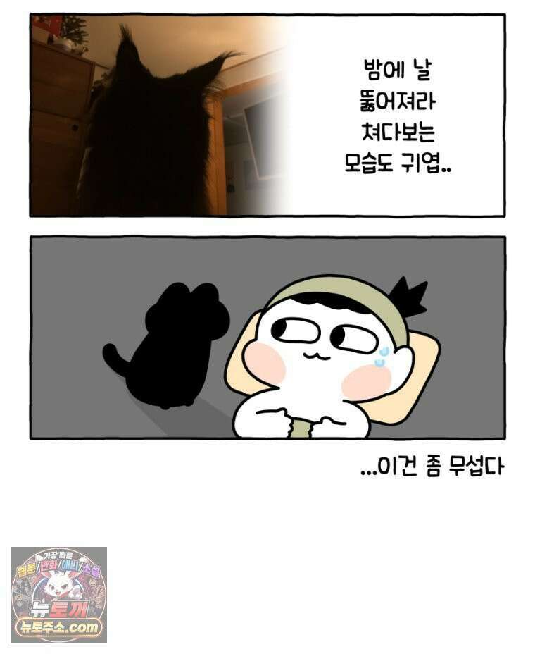 먼지 덩어리 짱덕 32． 매력 포인트 29