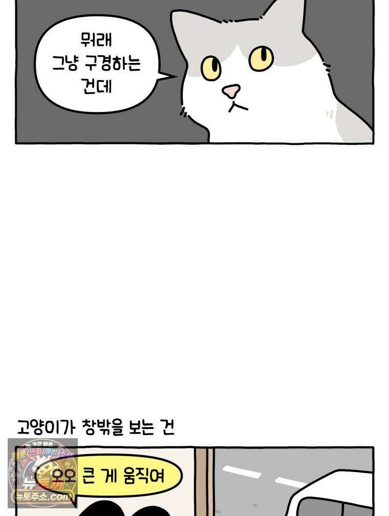 먼지 덩어리 짱덕 39． 부모의 욕심 6