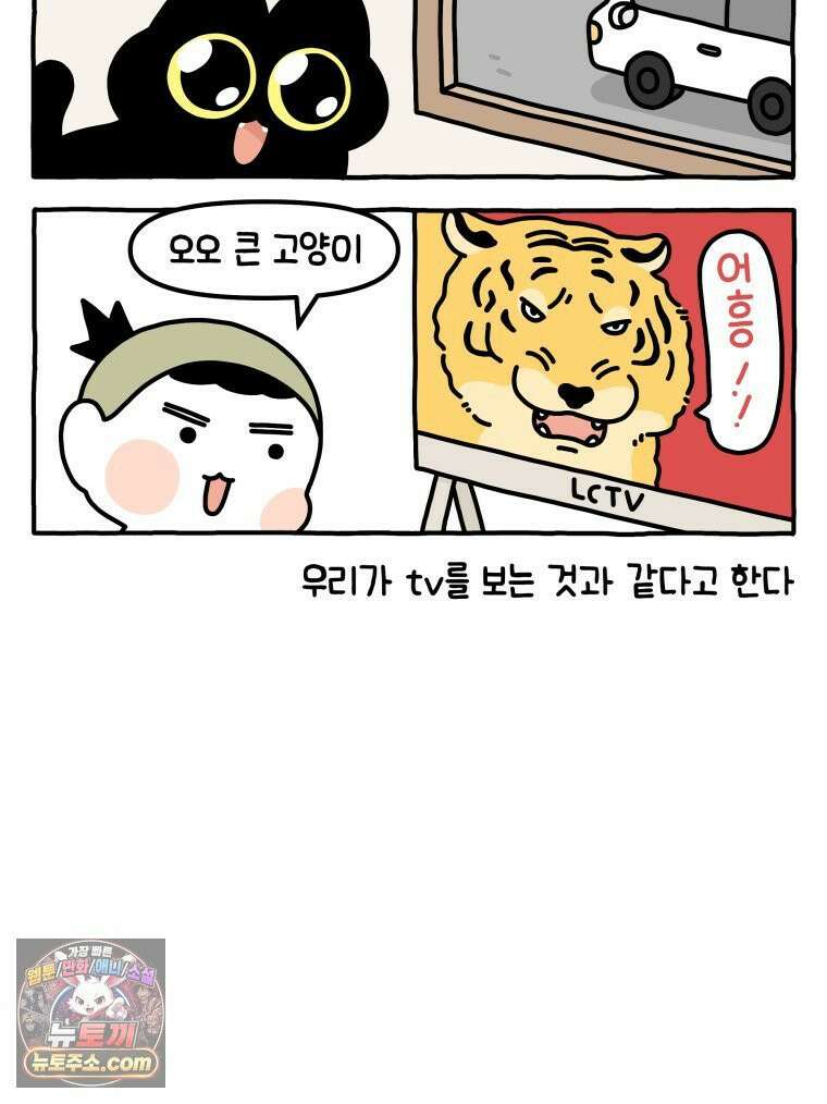 먼지 덩어리 짱덕 39． 부모의 욕심 7