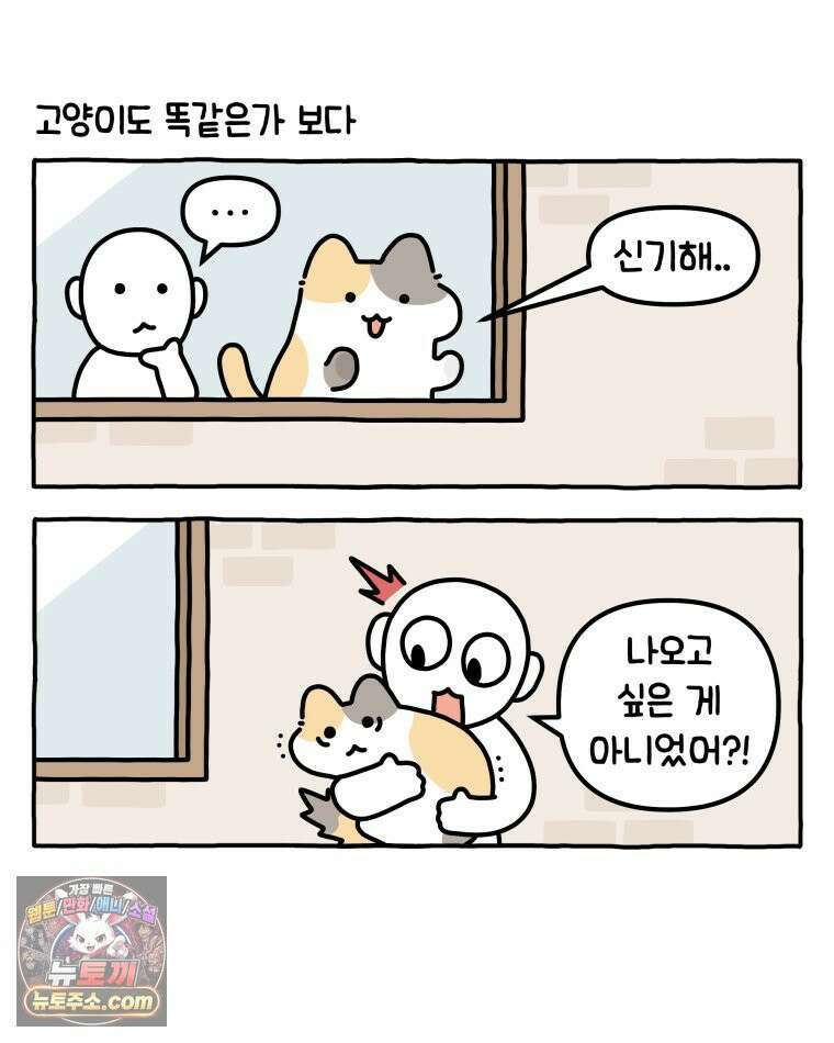 먼지 덩어리 짱덕 39． 부모의 욕심 10