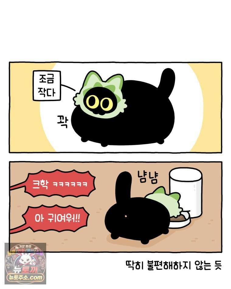 먼지 덩어리 짱덕 39． 부모의 욕심 26