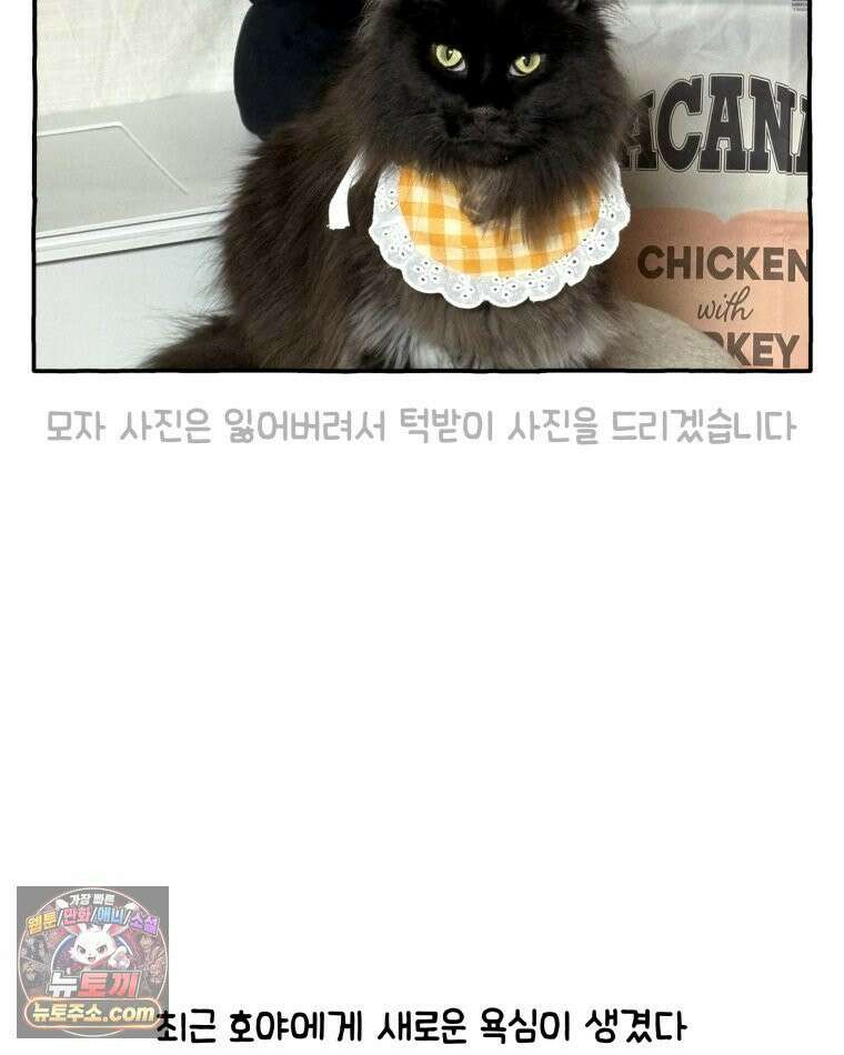 먼지 덩어리 짱덕 39． 부모의 욕심 29