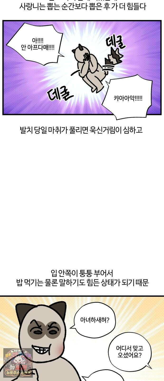 구야는 신입 159화 치과 싫어 (2) 13