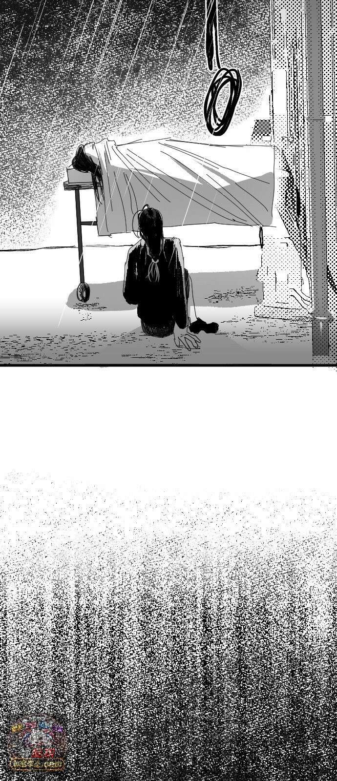 꽃과 재 1 93