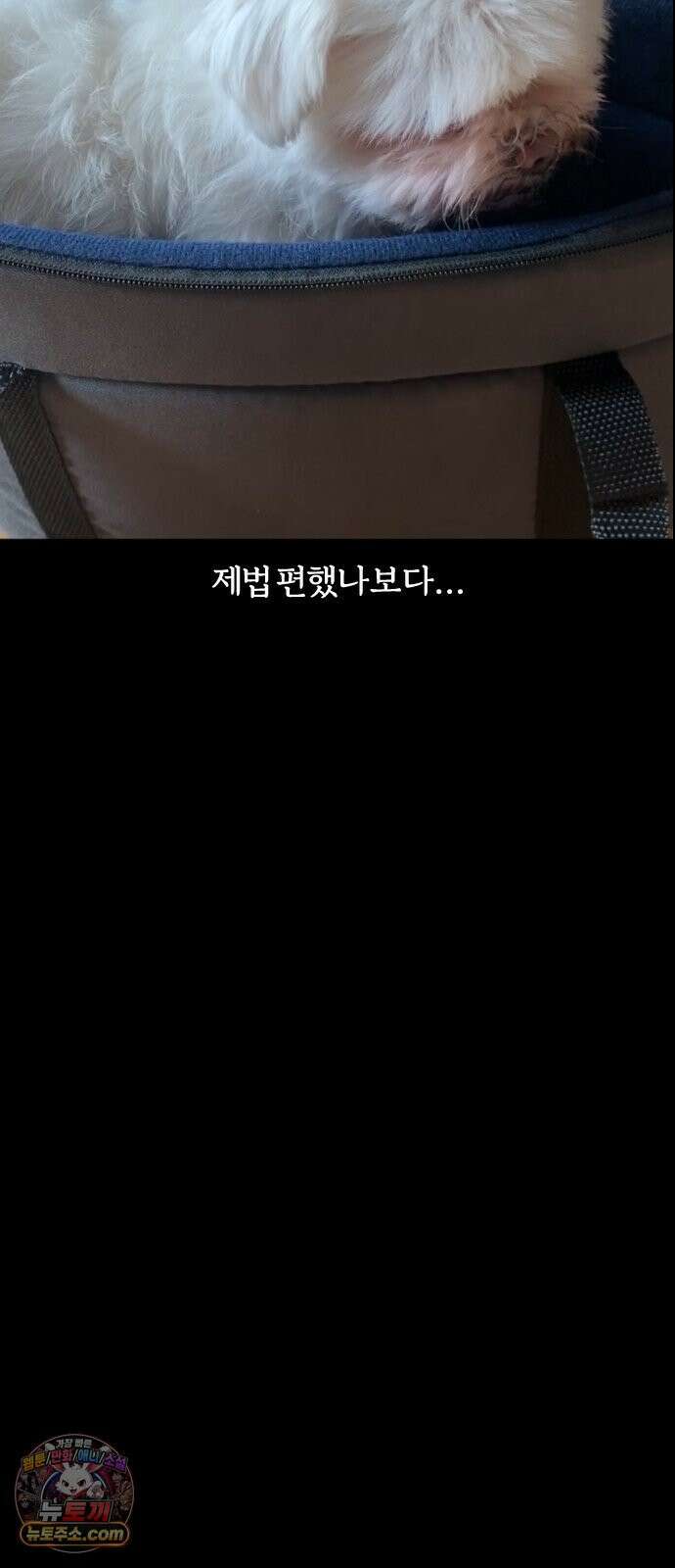개집사 149화: 왕좌의 개임 19