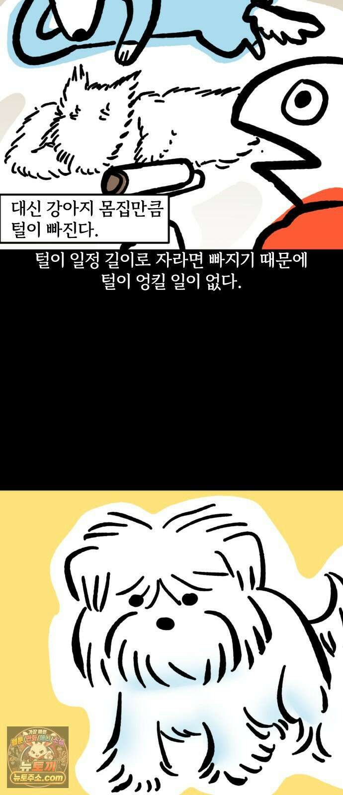 개집사 167화: 털 빗자! 7