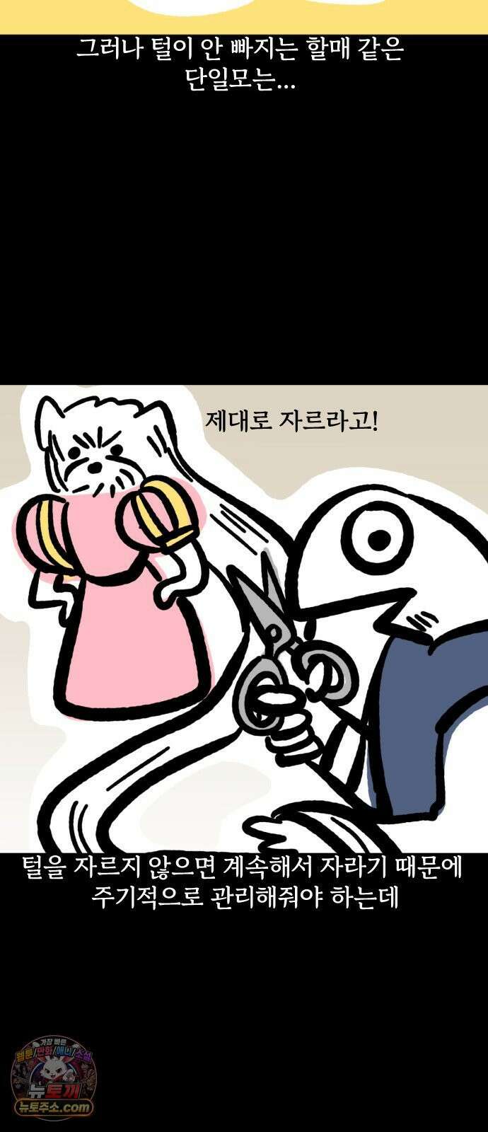 개집사 167화: 털 빗자! 8
