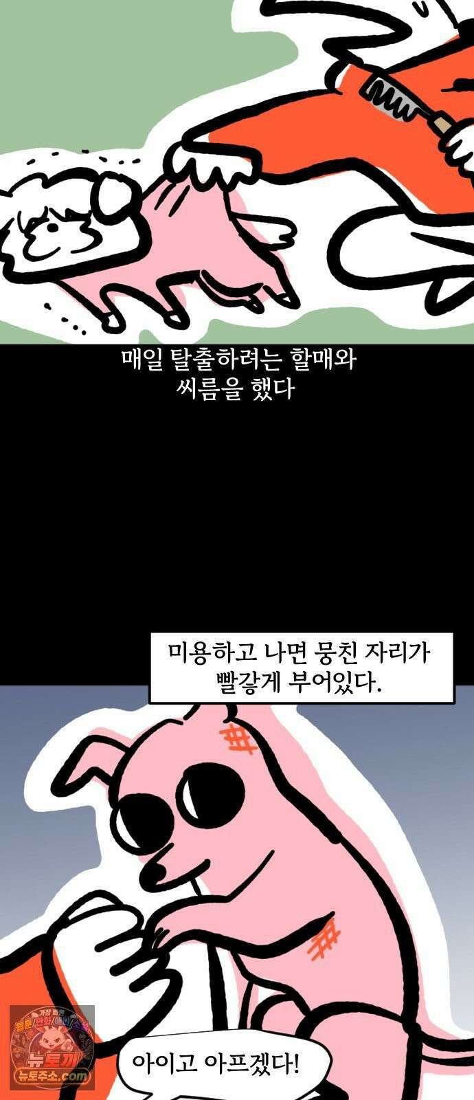 개집사 167화: 털 빗자! 12