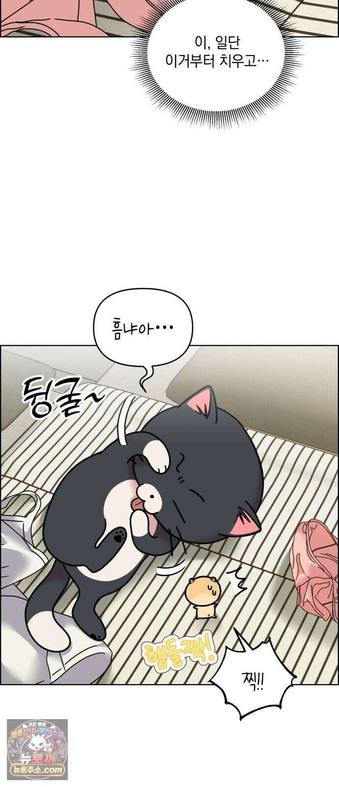 냥냥찍찍! 50화． 고양이 앞에 햄스터 11