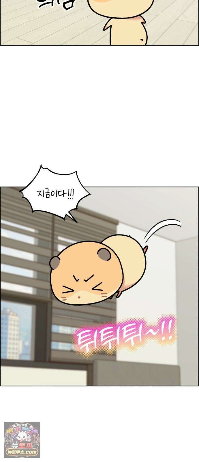 냥냥찍찍! 50화． 고양이 앞에 햄스터 18