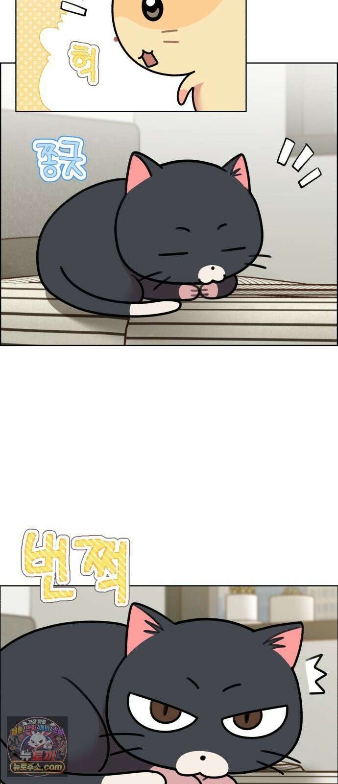 냥냥찍찍! 50화． 고양이 앞에 햄스터 20