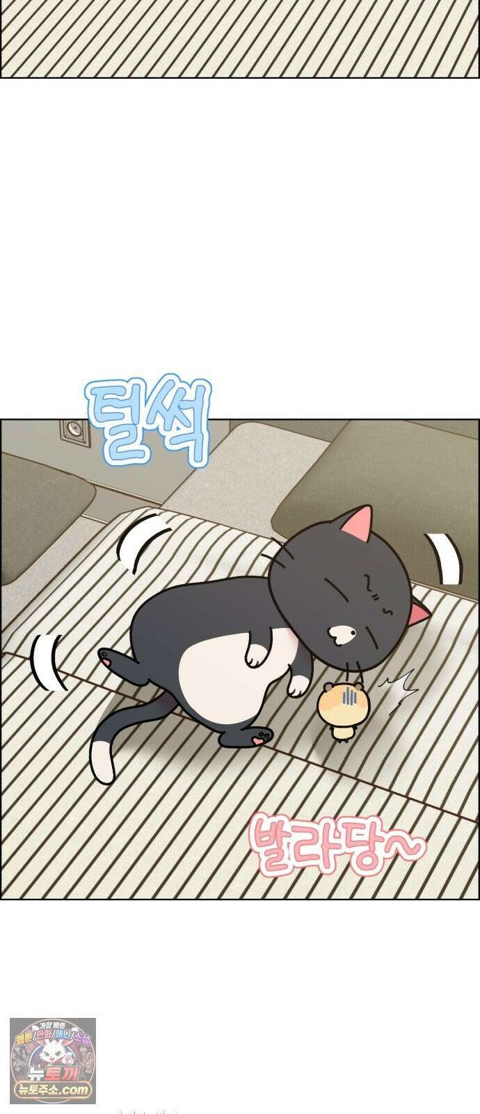 냥냥찍찍! 50화． 고양이 앞에 햄스터 25