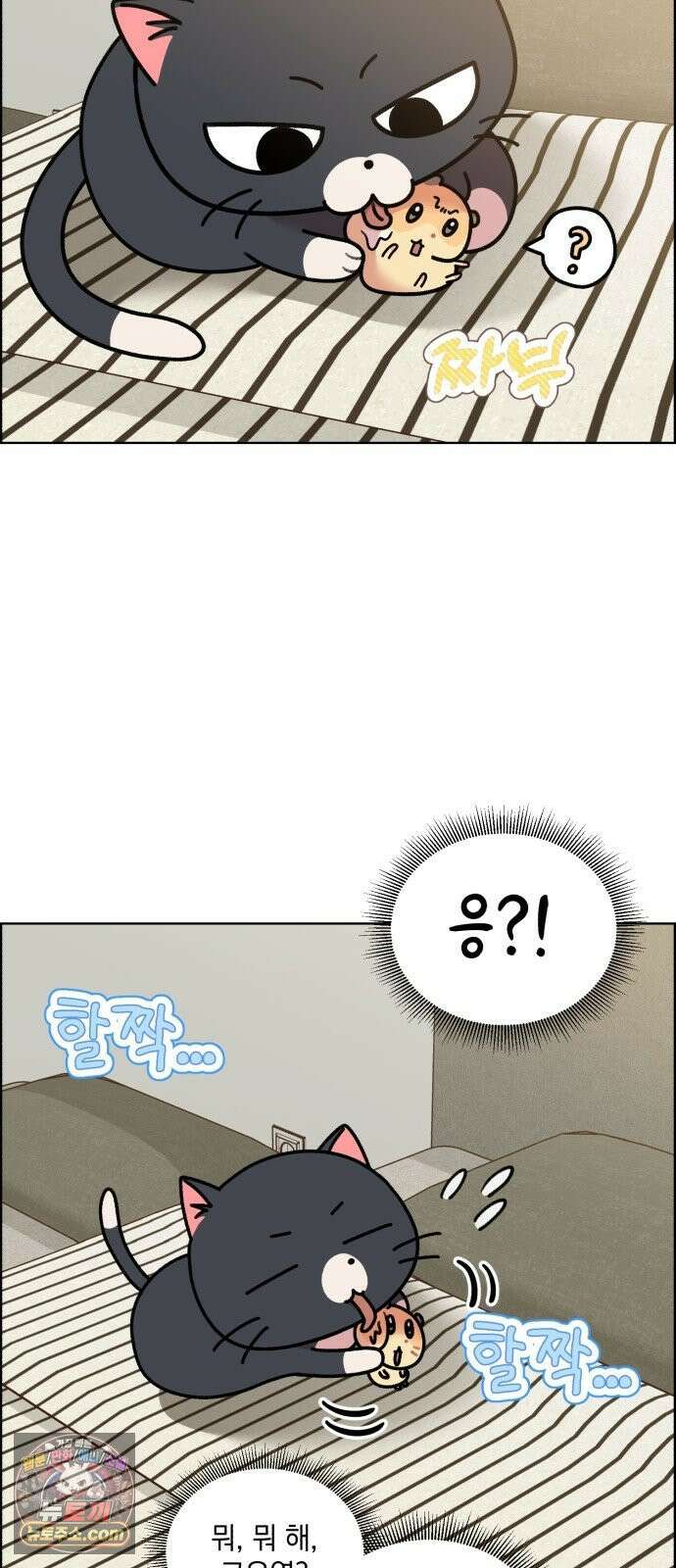 냥냥찍찍! 50화． 고양이 앞에 햄스터 27