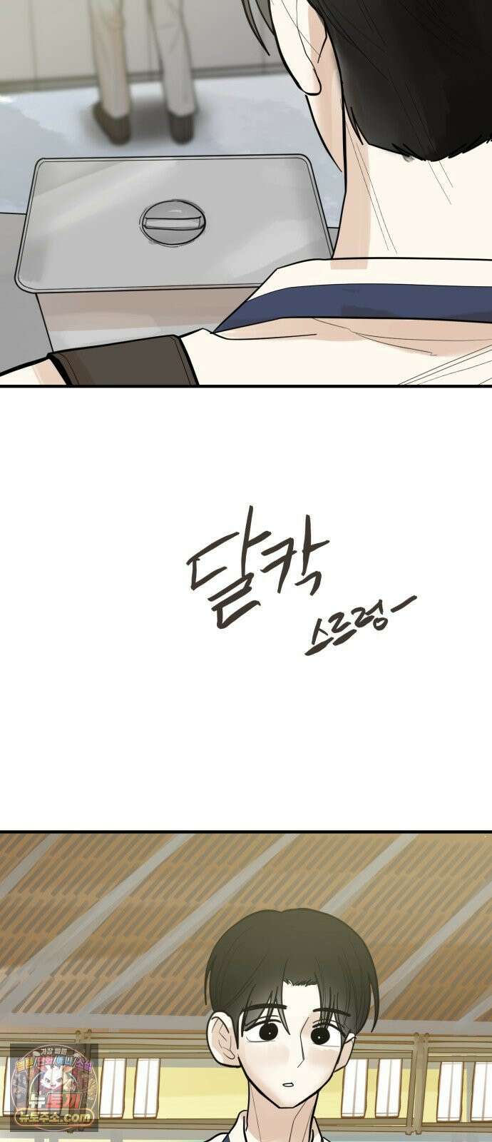 설탕에 곁들인 로맨스 47 다뤄본 재료, 돌고래가 잘 가져갔나봐 54