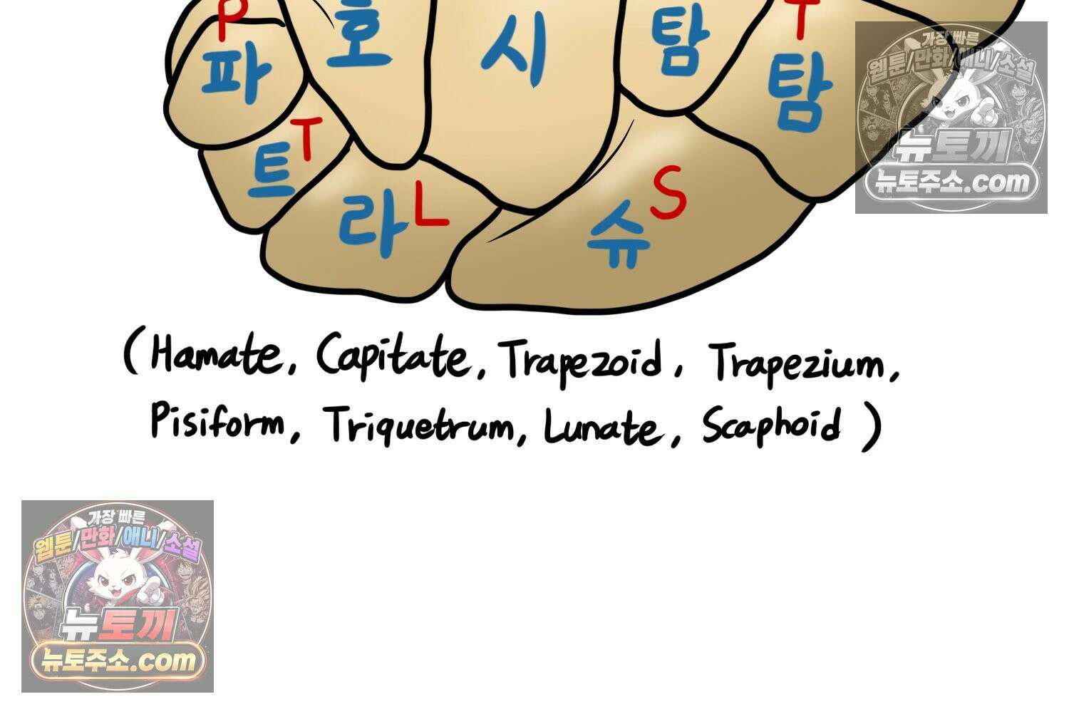 재활용 머학생 143화 골학을 알아보자(3) 25