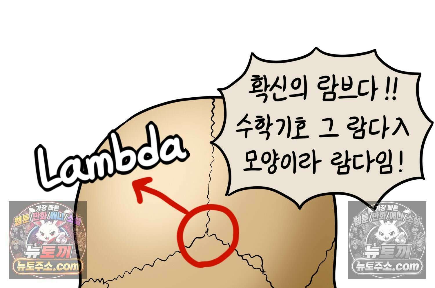 재활용 머학생 143화 골학을 알아보자(3) 34
