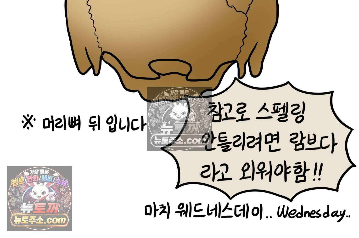 재활용 머학생 143화 골학을 알아보자(3) 35