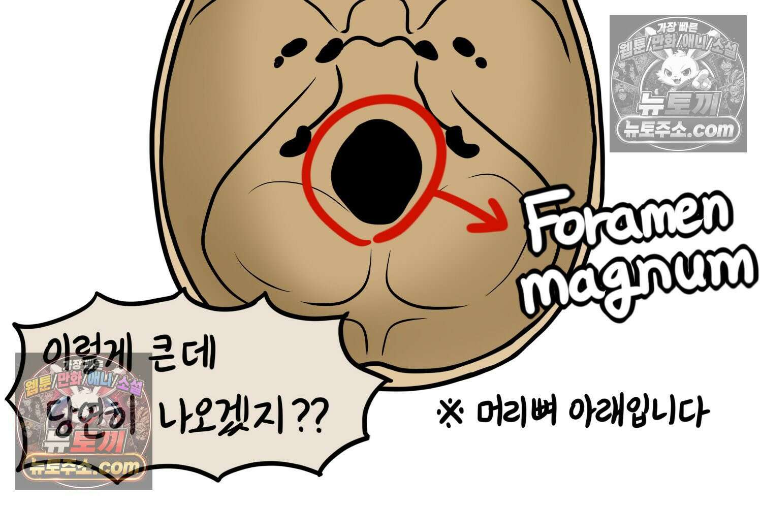 재활용 머학생 143화 골학을 알아보자(3) 37