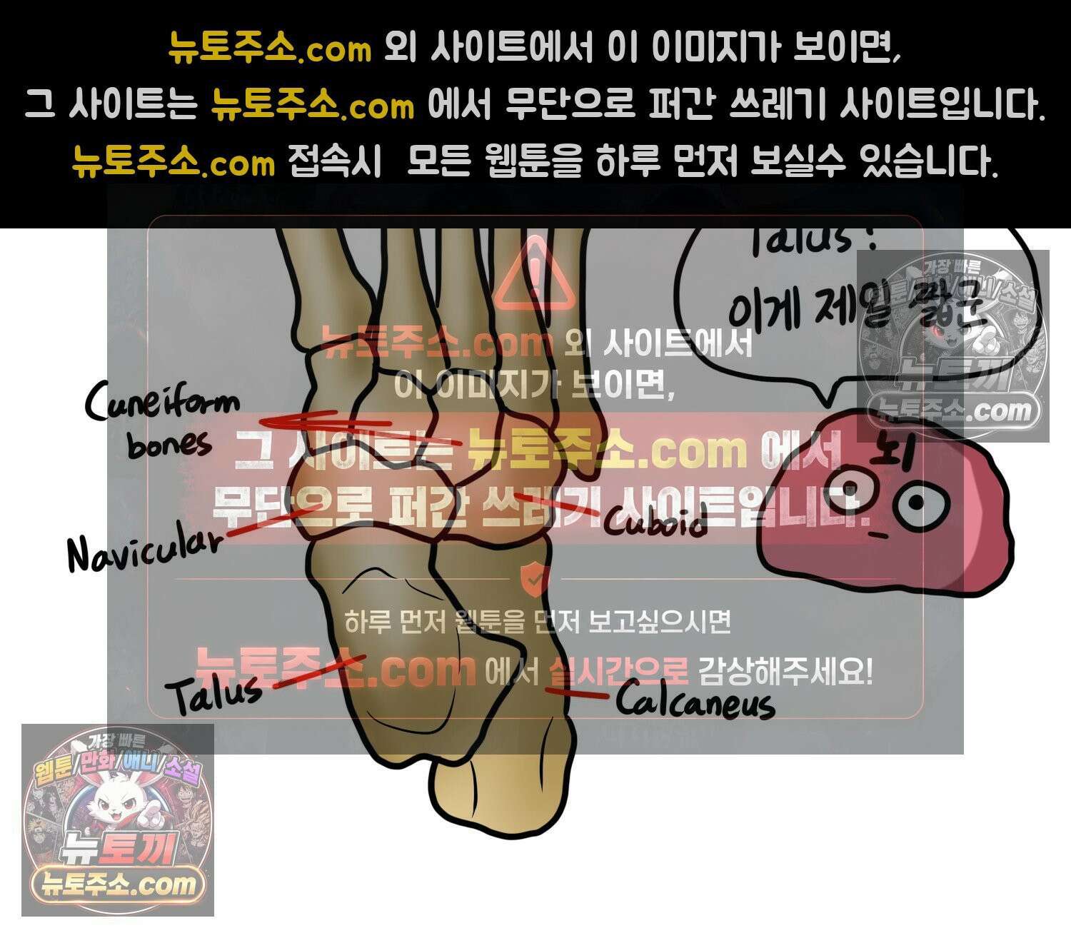 재활용 머학생 143화 골학을 알아보자(3) 39