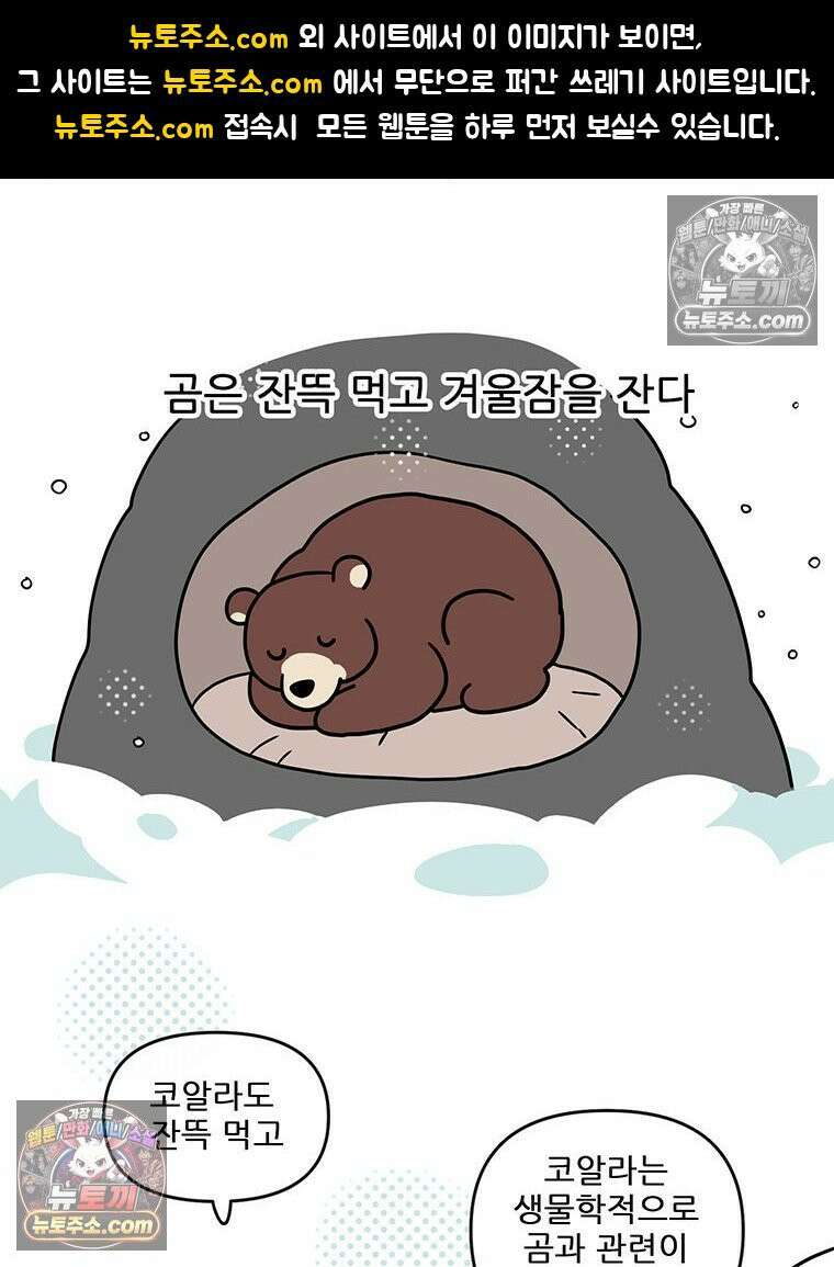 코알랄라 194화 양배추롤과 배추롤 1