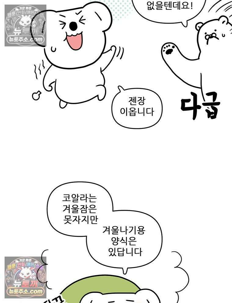 코알랄라 194화 양배추롤과 배추롤 2