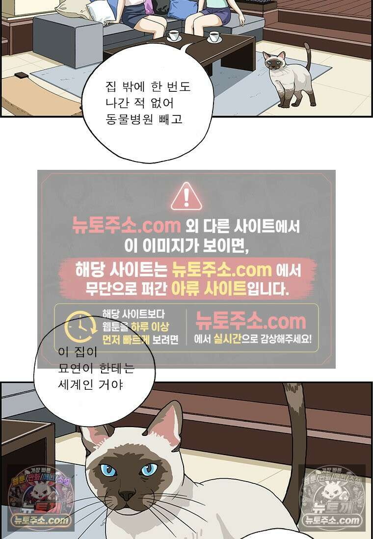 달마부장 시즌2 233화 상대적 11