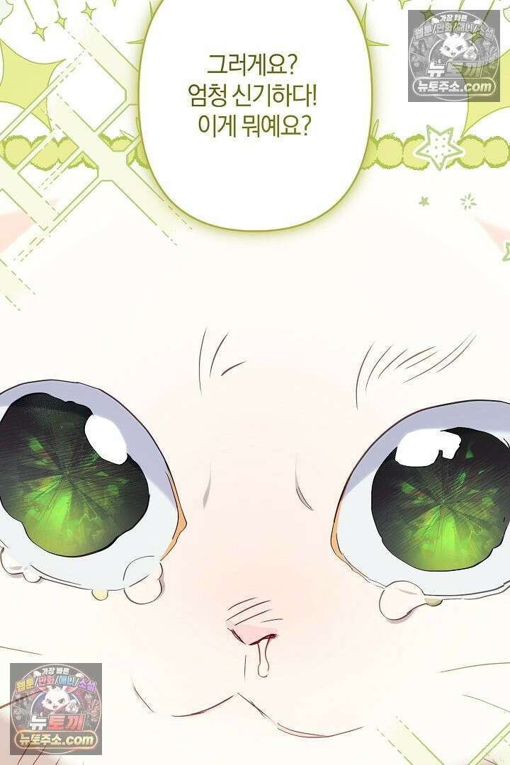 반란군의 돌팔이 의사 26화 5