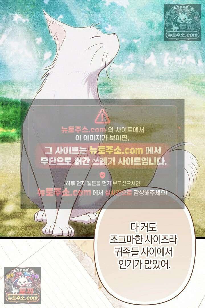 반란군의 돌팔이 의사 26화 17