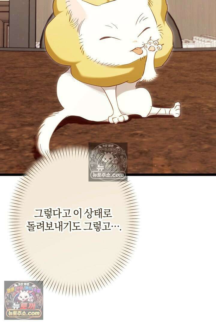 반란군의 돌팔이 의사 26화 23
