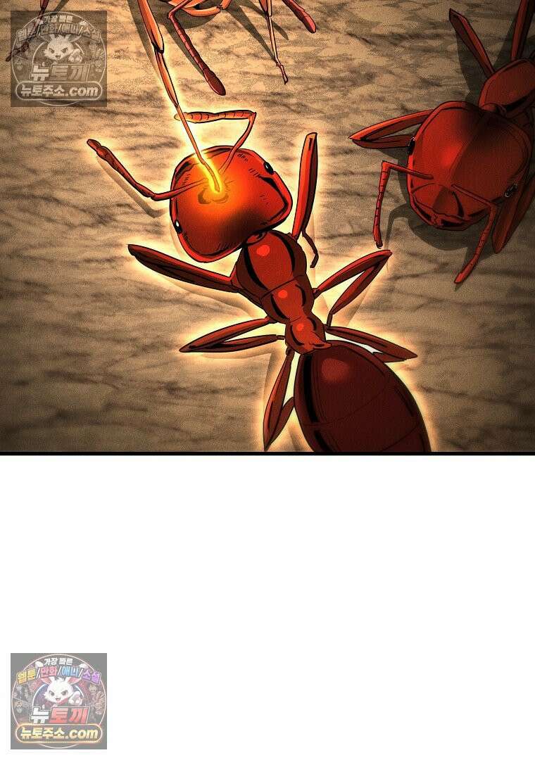 개미 3화 2