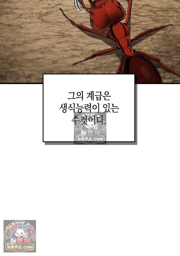 개미 3화 8