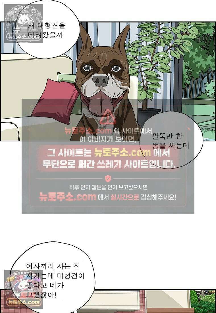 달마부장 시즌2 384화 대형견 5