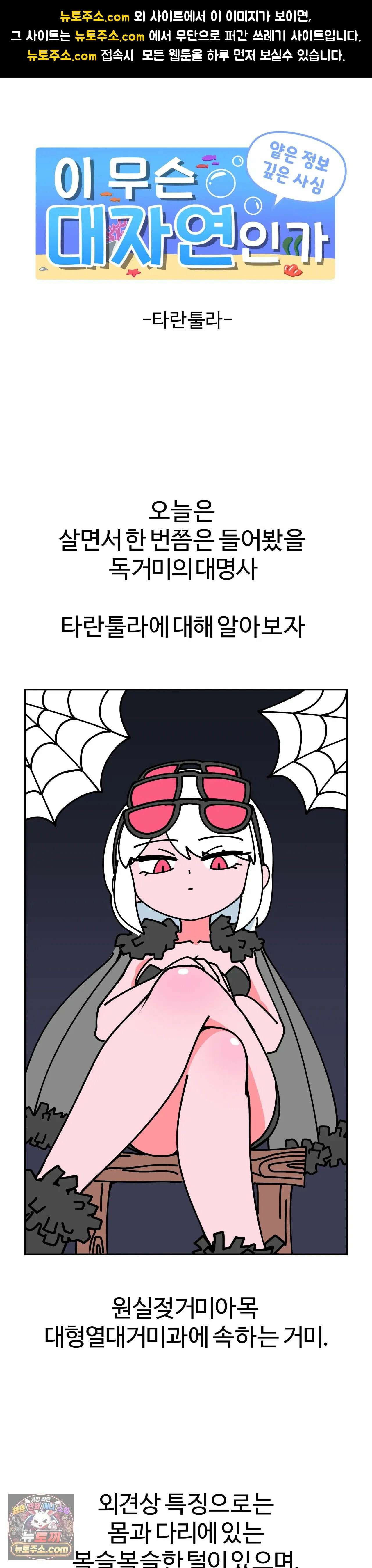 이 무슨 대자연인가 13화 - 타란툴라 1