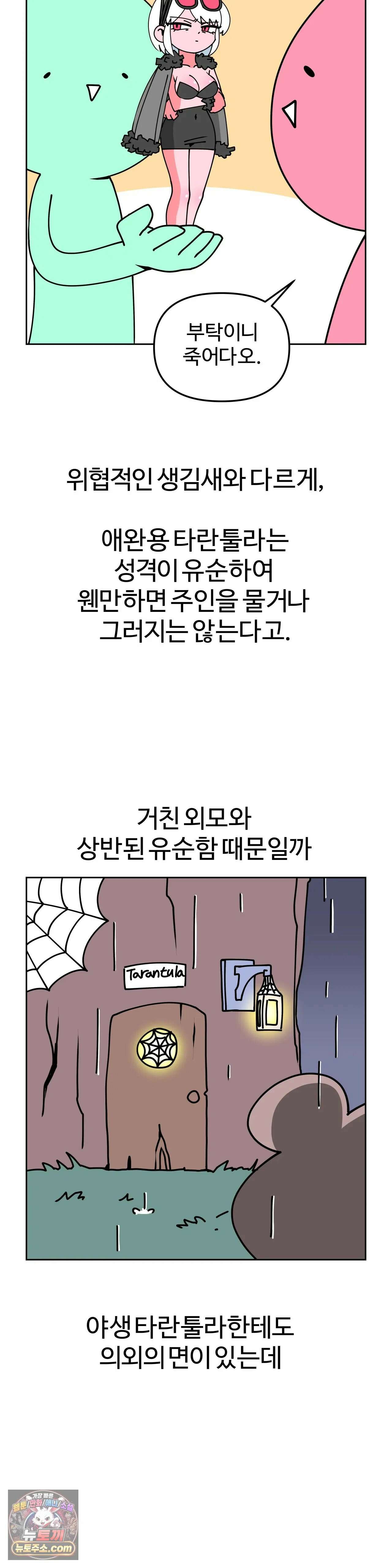 이 무슨 대자연인가 13화 - 타란툴라 4