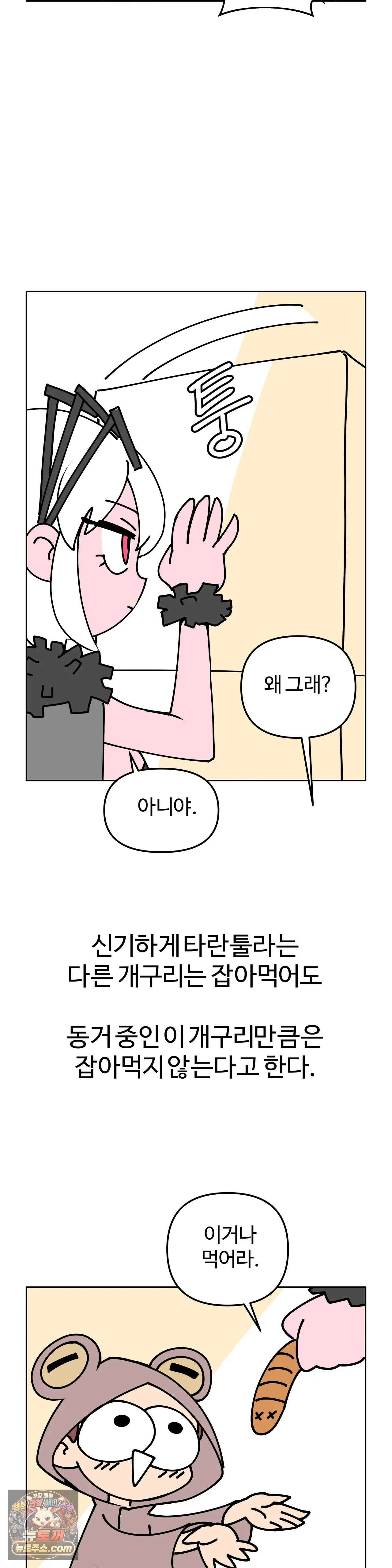 이 무슨 대자연인가 13화 - 타란툴라 9