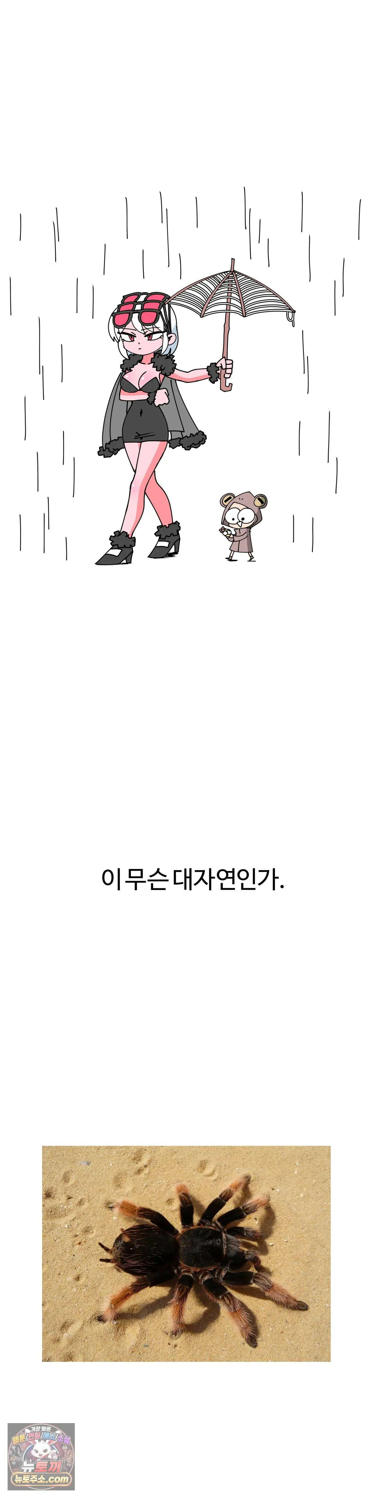 이 무슨 대자연인가 13화 - 타란툴라 35