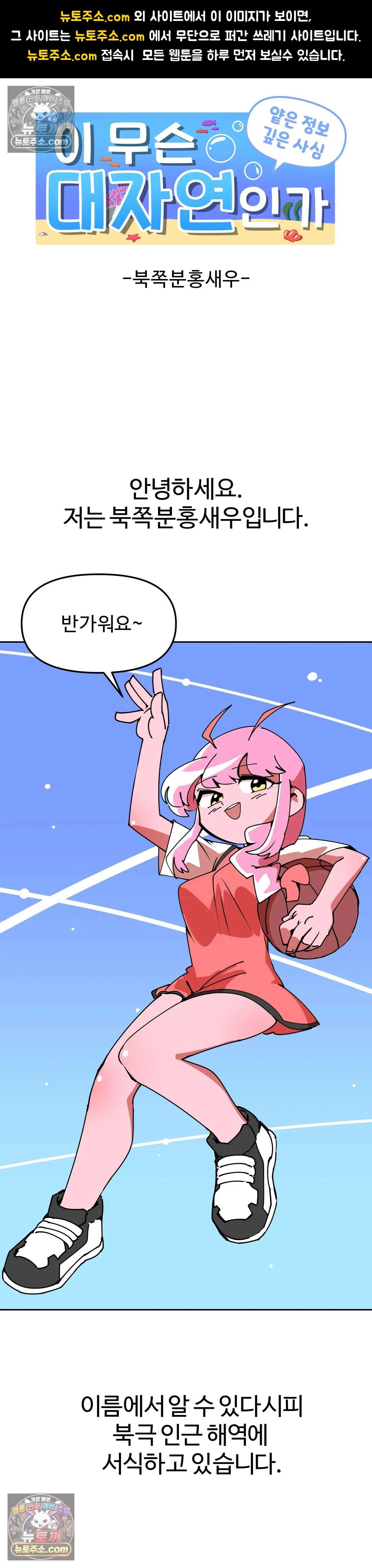 이 무슨 대자연인가 24화 - 북쪽분홍새우 1