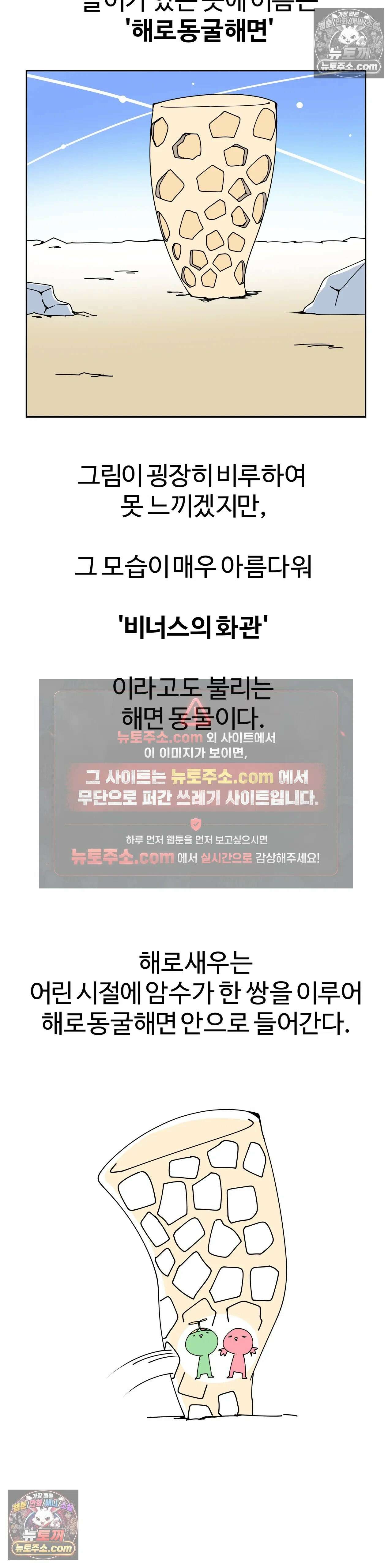 이 무슨 대자연인가 29화 - 해로새우 11