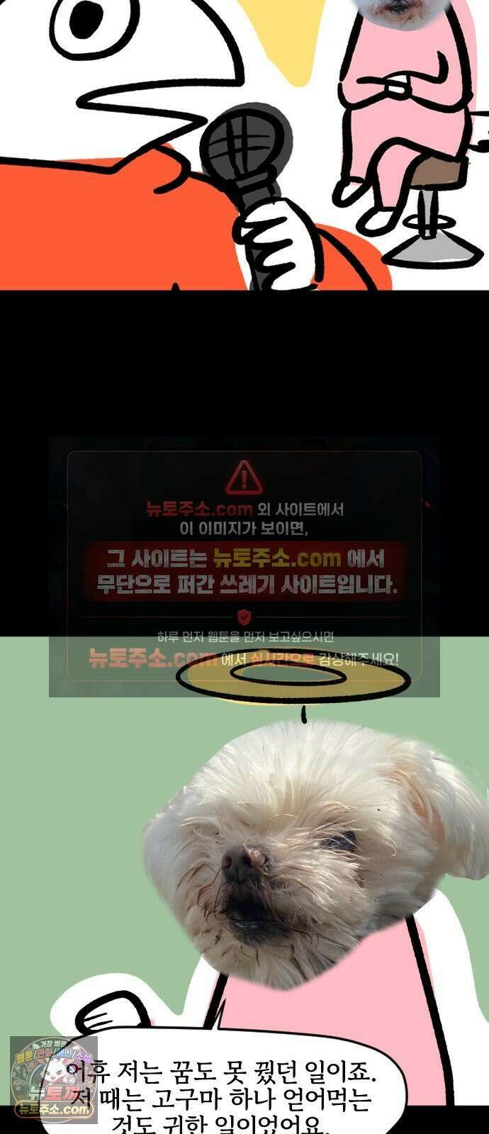 개집사 200화 특집 5