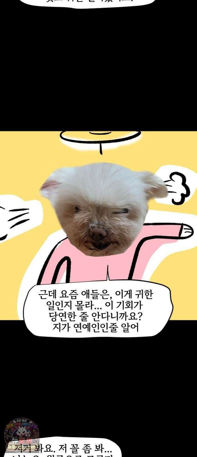 개집사 200화 특집 6