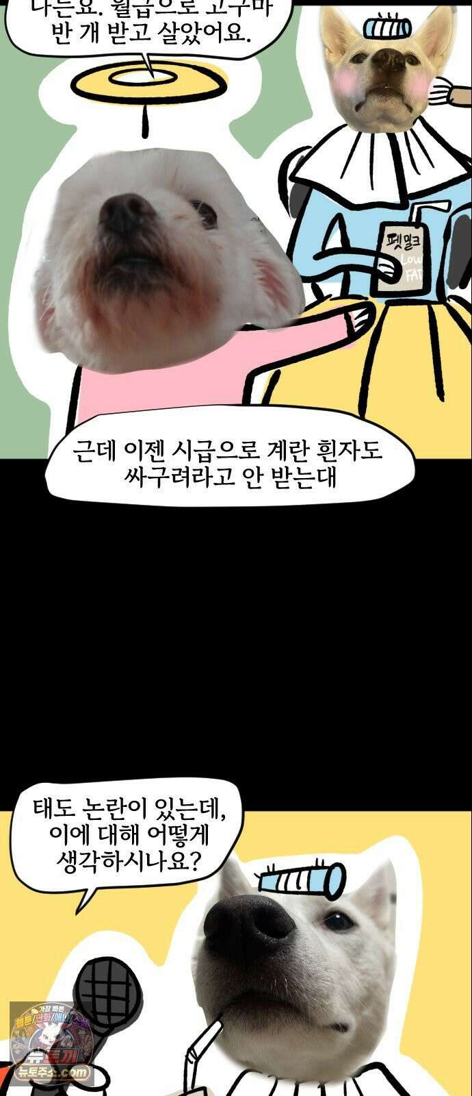 개집사 200화 특집 7