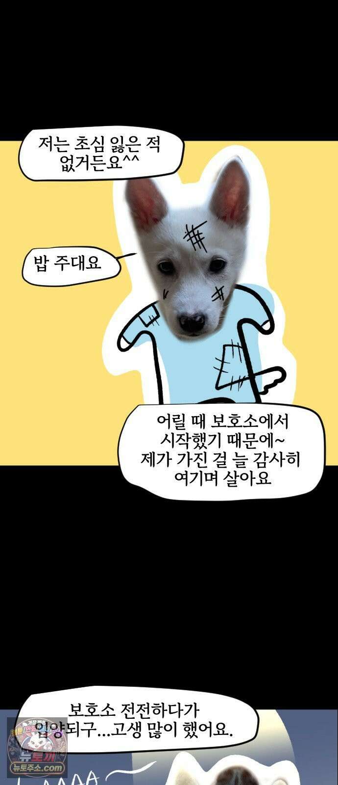개집사 200화 특집 9