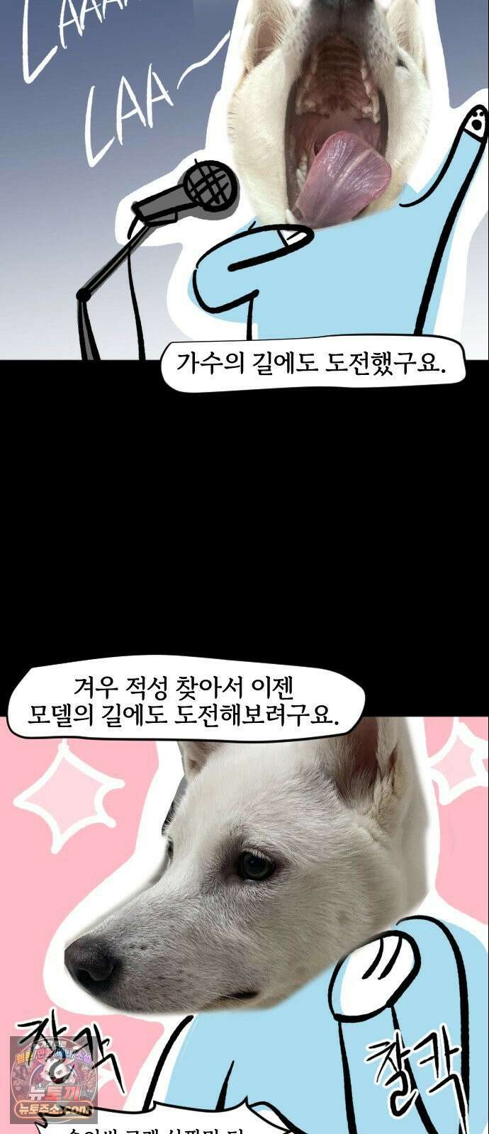 개집사 200화 특집 10