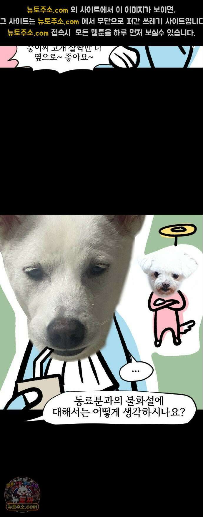 개집사 200화 특집 11