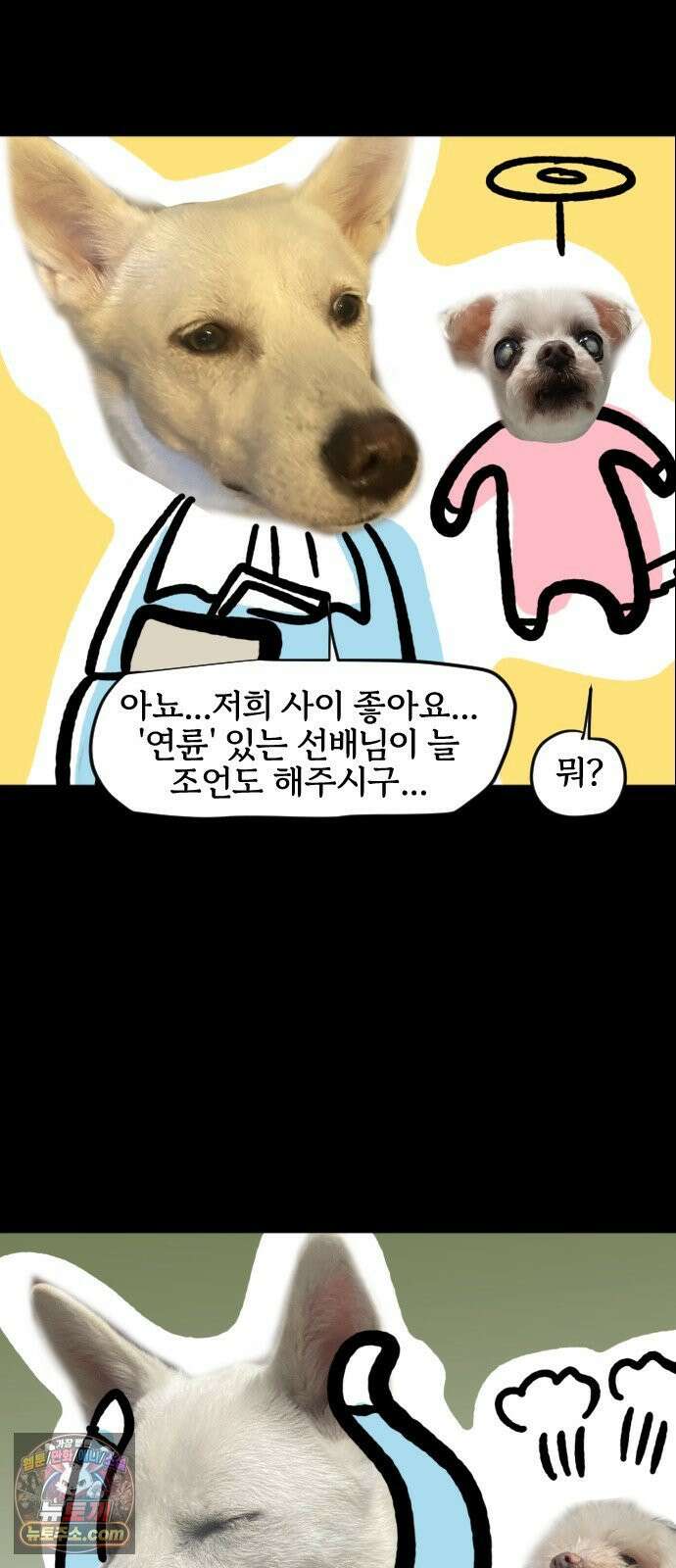 개집사 200화 특집 12
