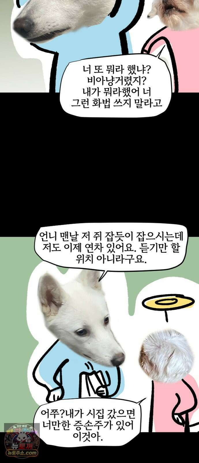 개집사 200화 특집 13