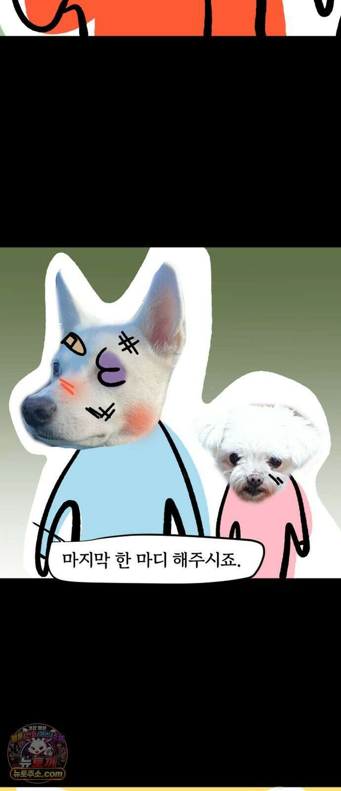 개집사 200화 특집 16